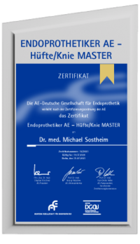 Zertifikat Endoprothetiker Hüfte Knie Master Dr. Michael Sostheim OCM, dunkelblau mit weiter Schrift und grauem Rahmen